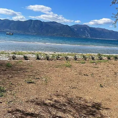 Askalosia Σπίτι διακοπών *