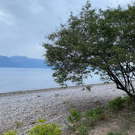 Askalosia * Άγιος Γεώργιος