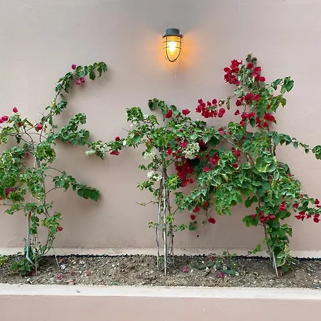 Askalosia Tatil Evi