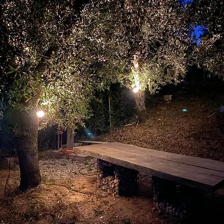 Askalosia Άγιος Γεώργιος