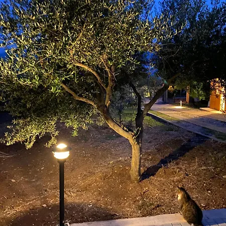 Askalosia Άγιος Γεώργιος